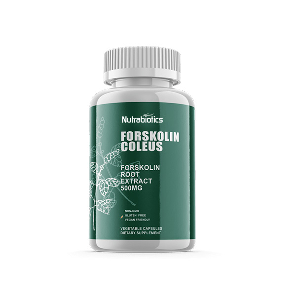 Forskolin Coleus – Forskolin Root Extract 500mg